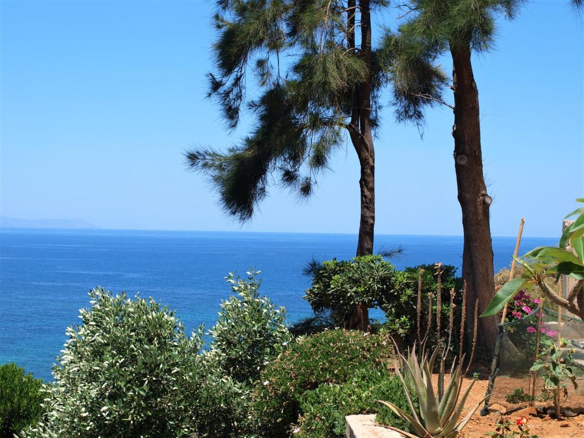 Emerald Apartment Halepa Chania  Zewnętrze zdjęcie